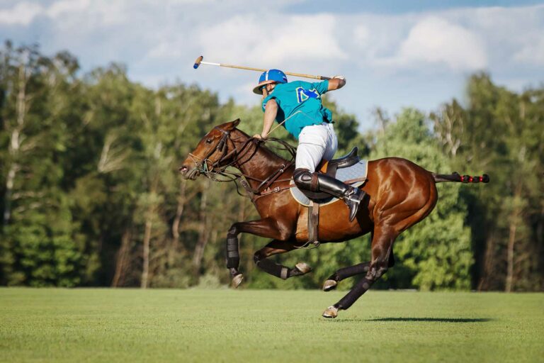 Polo Horse & Rider