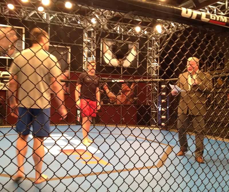 In the Ring at UFC - Octagon Bout