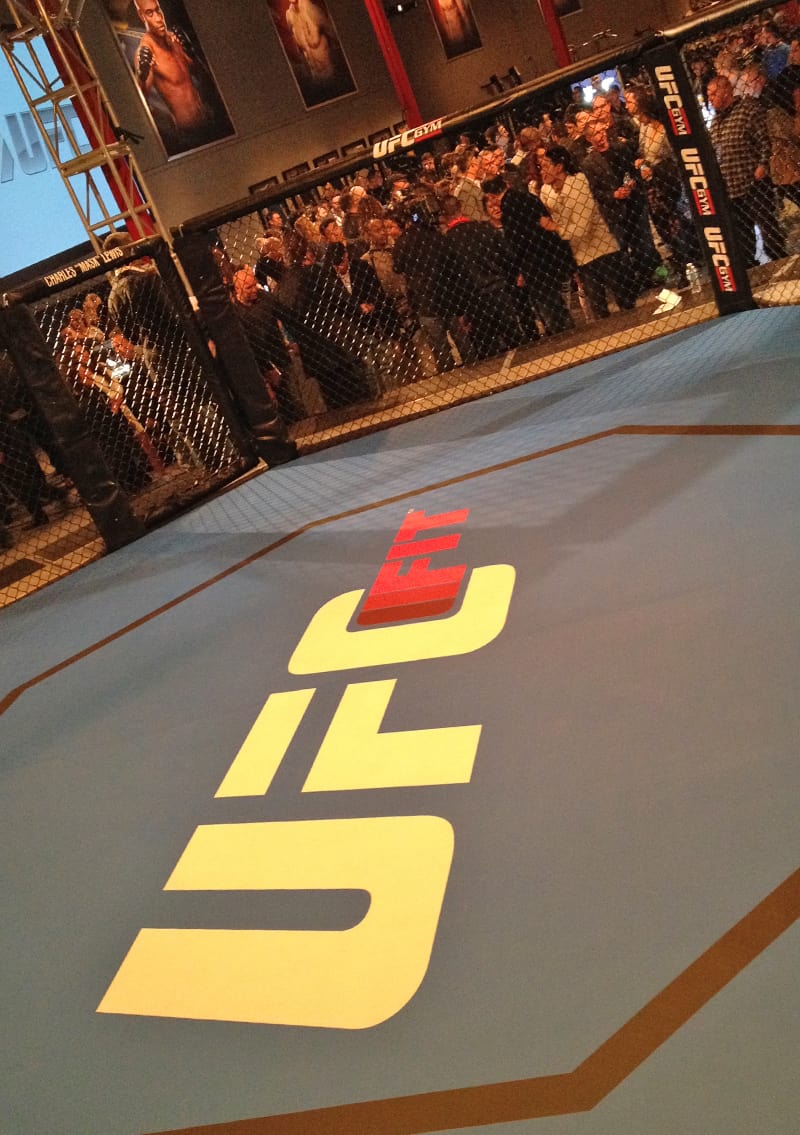 UFC Octagon, Las Vegas, NV
