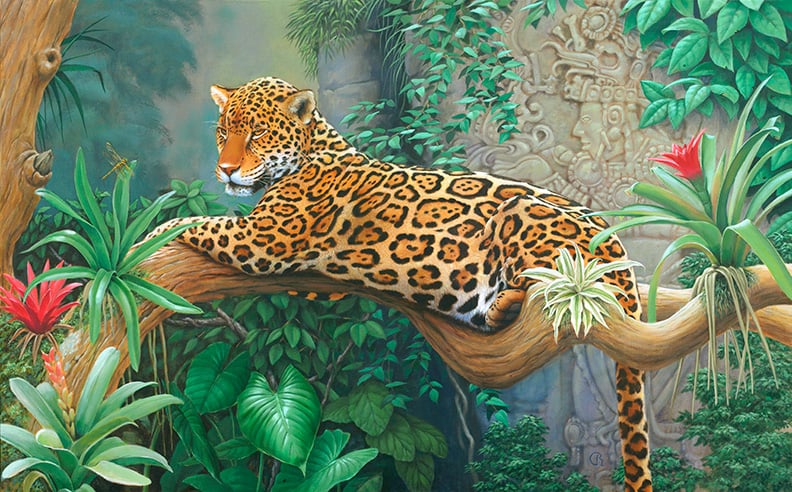 Jaguar painting by Raphael Schnepf