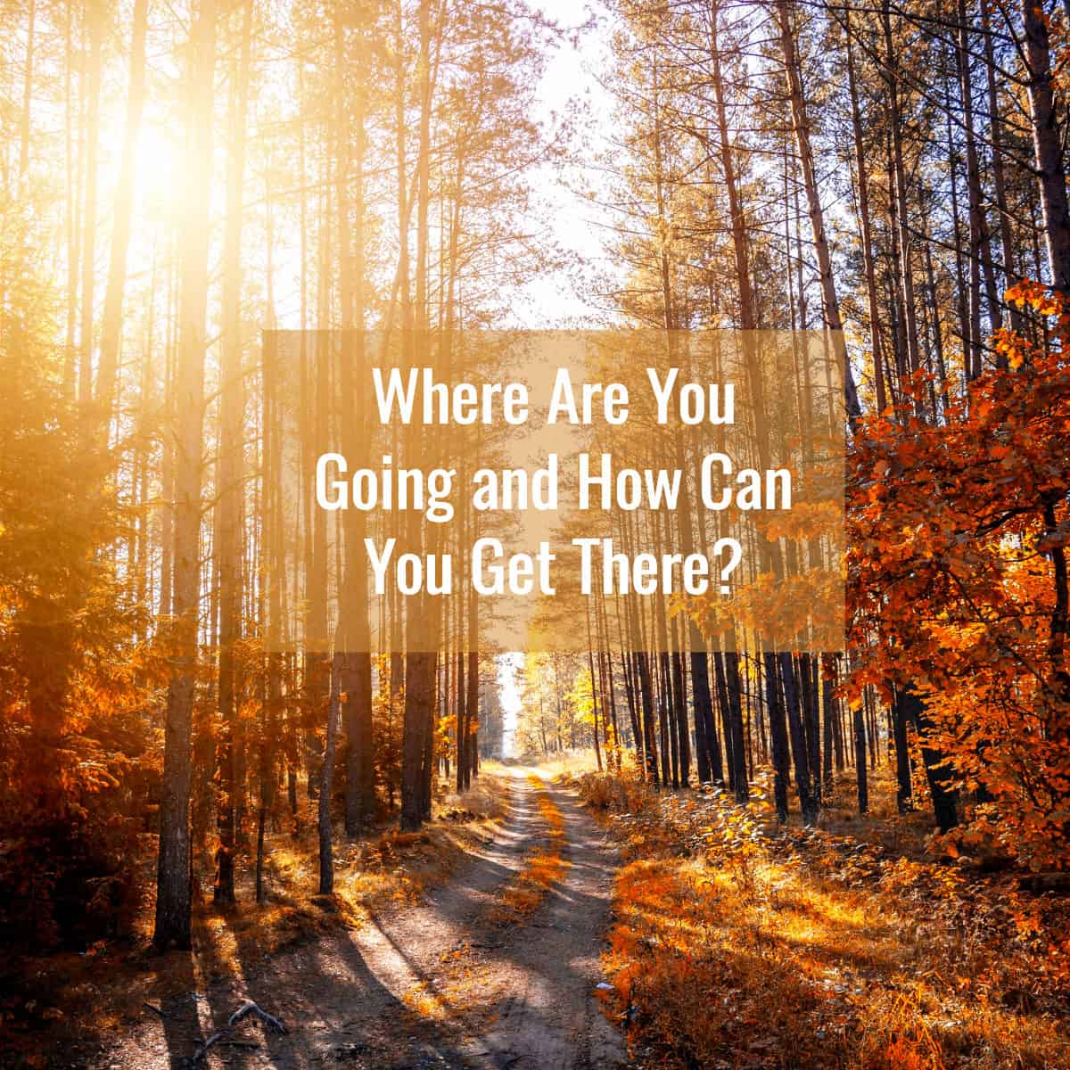 Where Are You Going And How Can You Get There By Barney Davey