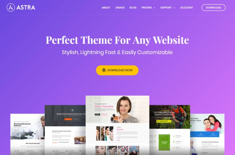 Astra WordPress Theme