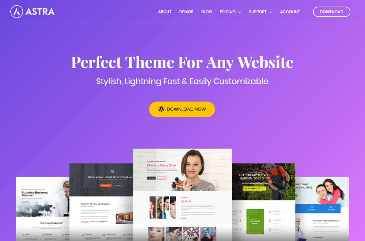 Astra WordPress Theme