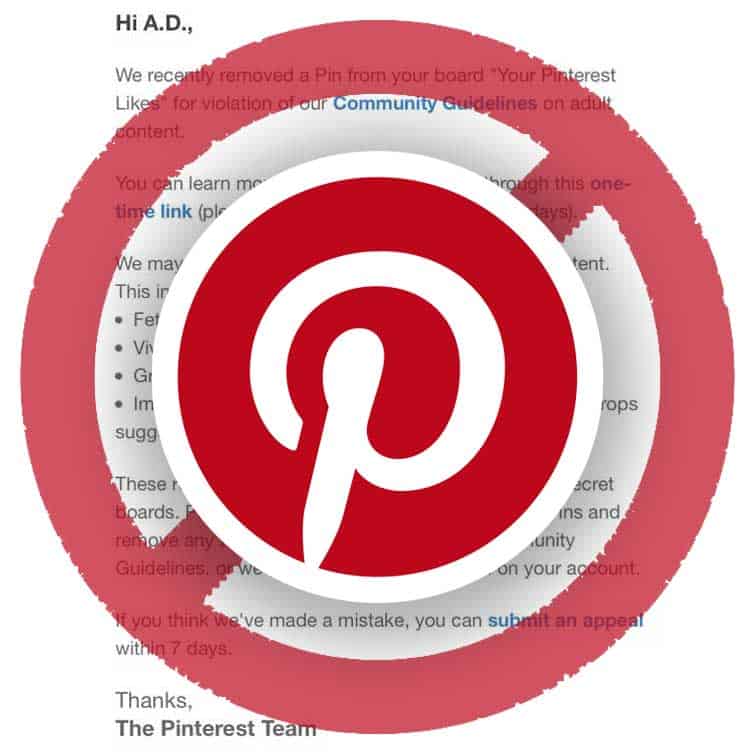 Pinterest Community Standards Violation 09/06/22