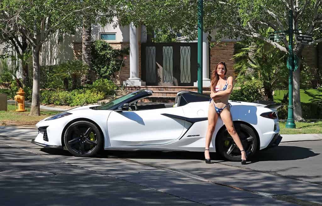 Art Model Aim Model with Corvette Z06