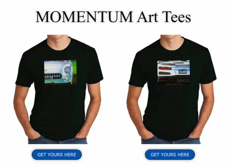 MOMENTUM Art T-Shirts