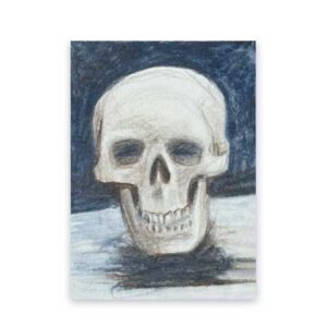 Studio Skull 2